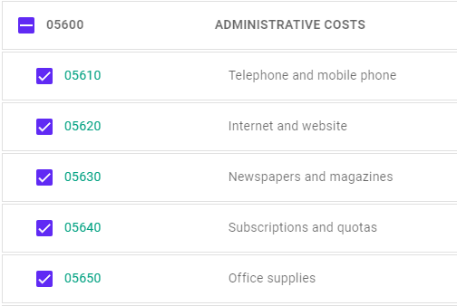 Example of Selected Financial Accounts